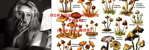 спиды Балахна